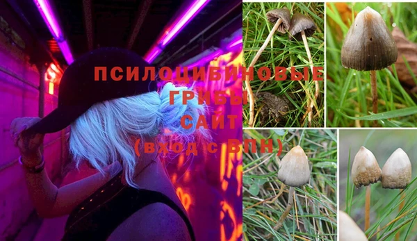 синтетический гашиш Богородицк