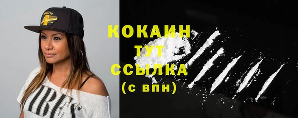 спайс Богданович