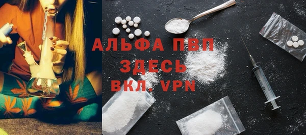 спайс Богданович