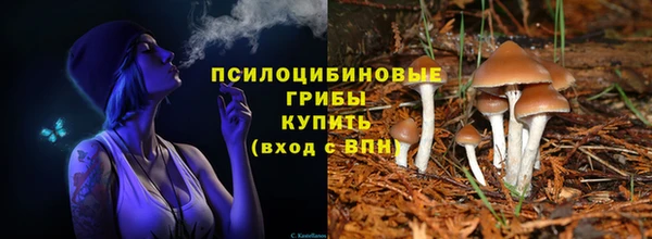 синтетический гашиш Богородицк