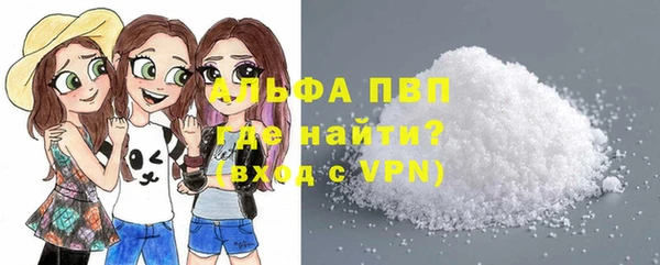 спайс Богданович